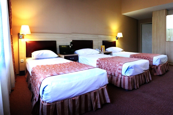 Parsian Kowsar Hotel (Téhéran)